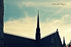 vienna vienna