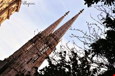 vienna vienna