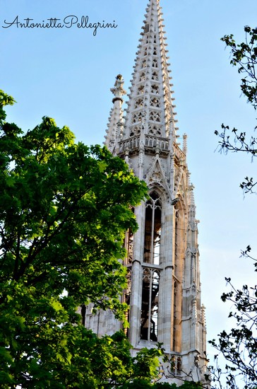 Vienna
