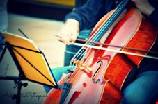 violoncello viennese vienna