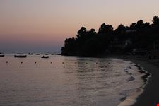  banana beach
