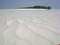 Lingua di spiaggia