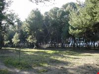 Riserva