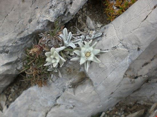  Roseto degli Abruzzi Luiclemens - CC BY-SA 3.0 Luiclemens