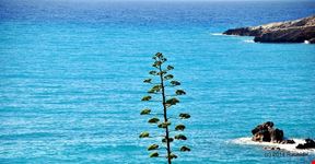 petani beach