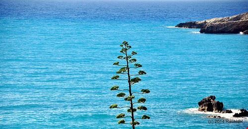 Petani beach - rachidH - rachidH - Attribution-NonCommercial (http://creativecommons.org/licenses/by-nc/2.0/)