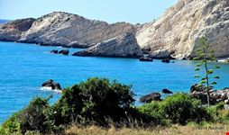  petani beach