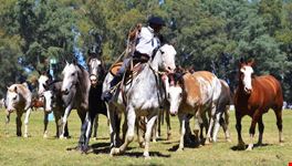  a cavallo per l isola