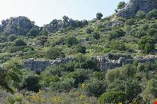 epidavros limera