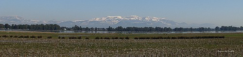  lago di fogliano