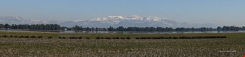  lago di fogliano