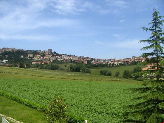  Osimo  