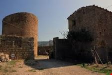 torre