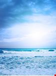  mare