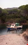  cala ginepro