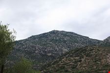 monte tuttavista