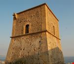 torre torre