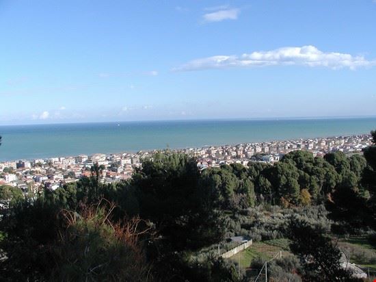 Mare