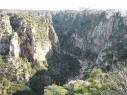 gravina