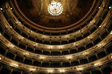  teatro bonci