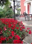  villa silvia