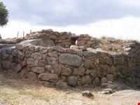 arbucciu arzachena
