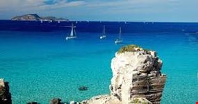 mare