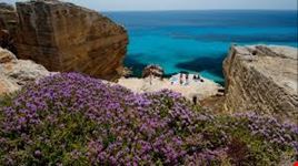 favignana