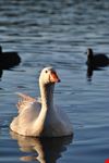 lago d averno