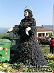  dall olio di pontelandolfo ai vini di solopaca