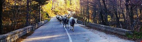  sull antica via della transumanza