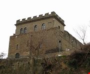 muggia