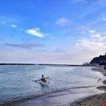  mare