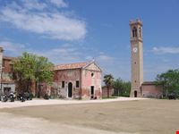 lio piccolo