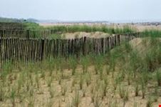 mare cavallino treporti