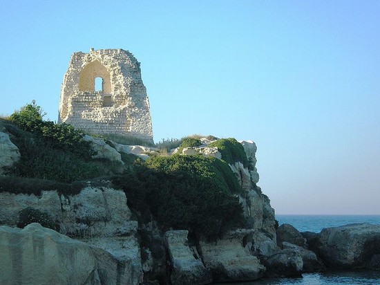 torre_orso