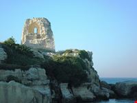 torre_orso