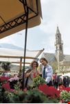 Blumenmarkt Festa dei fiori