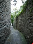 canicchio