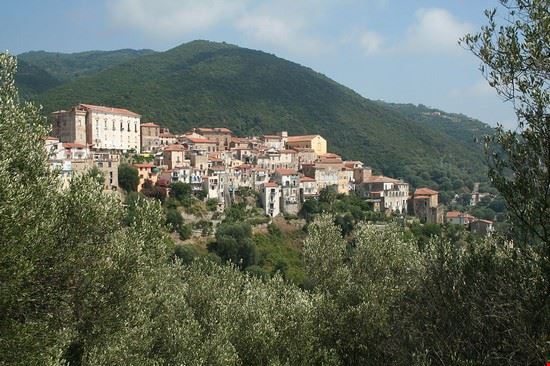  Pisciotta  