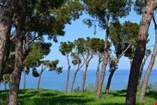 pineta