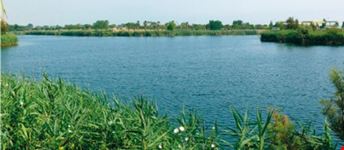 parco dei laghetti