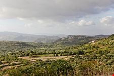  consigli utili