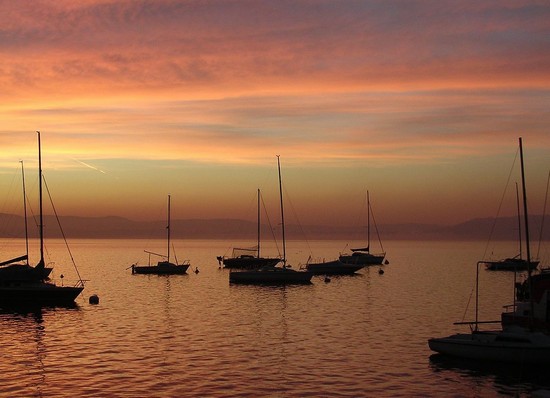 barca lago maggiore
