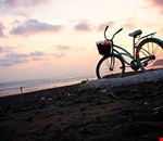 spiagge spiagge