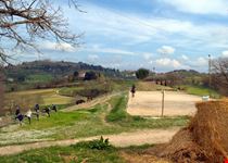 montepulciano centro equestre tre laghi