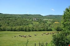  monte petroso