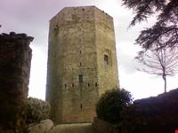 torre di federico enna