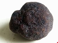 tartufo