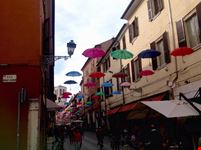 se non piove piovera ferrara